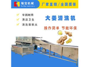 鮮姜輸送清洗機  大姜加工設(shè)備